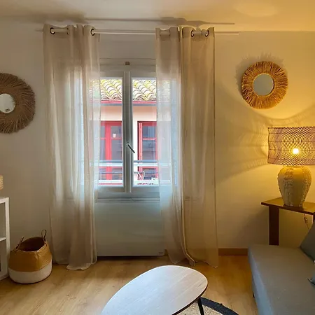 Renove A 50 M De Plage, Entree Autonome, Climatise Collioure
