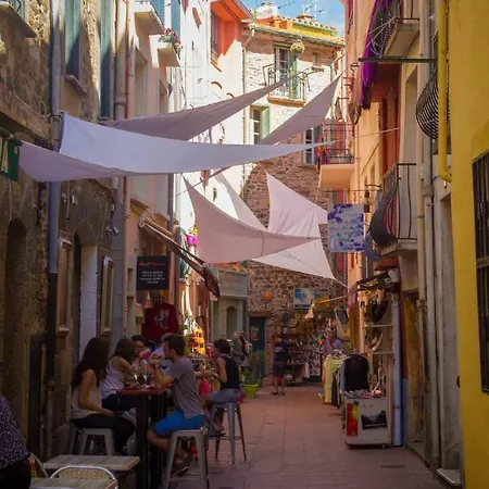 Renove A 50 M De Plage, Entree Autonome, Climatise Collioure