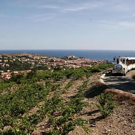 Coeur Collioure -Plage A 50M-Climatise *