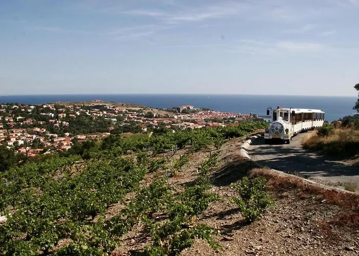 Renove A 50 M De Plage, Entree Autonome, Climatise *