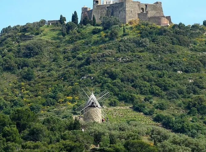 Renove A 50 M De Plage, Entree Autonome, Climatise Κολιούρ