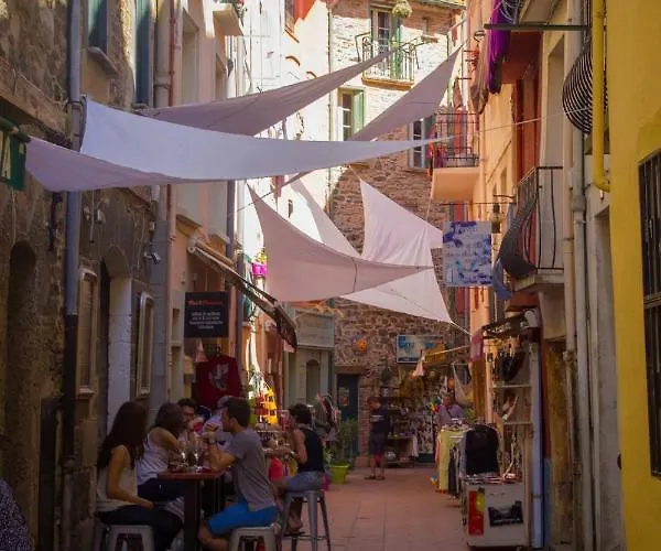 Renove A 50 M De Plage, Entree Autonome, Climatise Κολιούρ